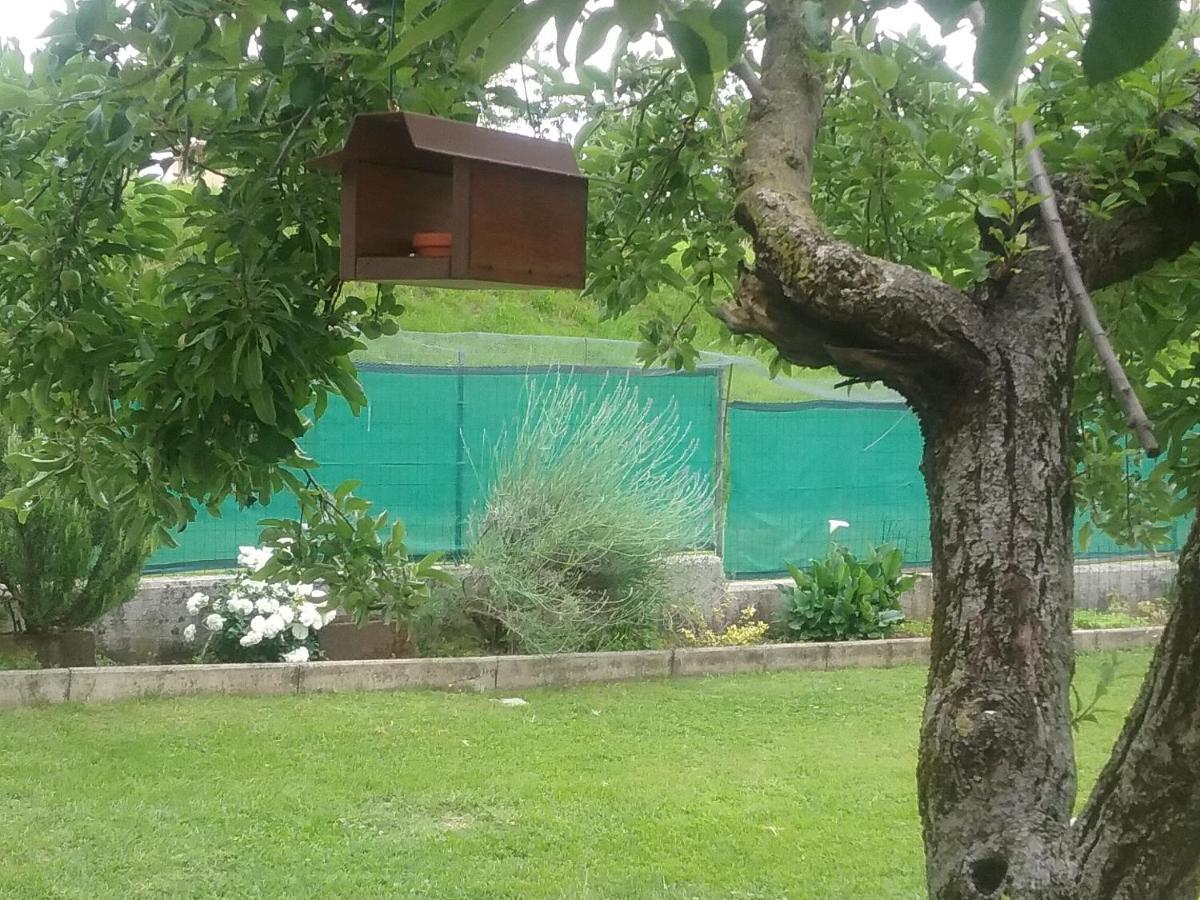 B&B Cuore San Daniele del Friuli Exteriér fotografie